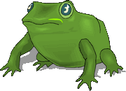 frog