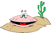 clam