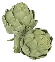 artichoke