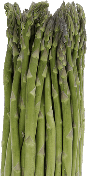 asparagus