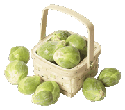 brussels sprout