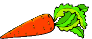 carrot