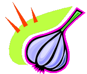 garlic