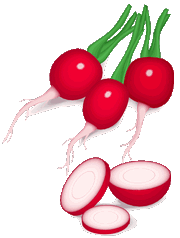 radish