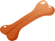 bone