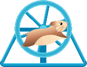 hamster wheel