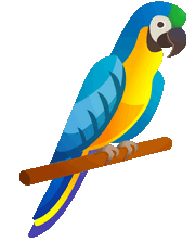 parrot