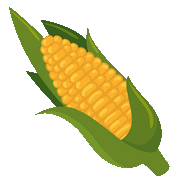corn