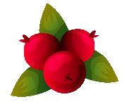 cranberry