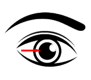 pupil