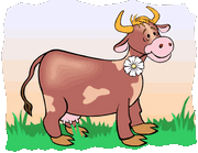 cow