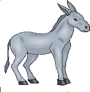 donkey