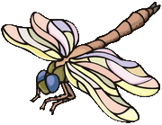 dragonfly