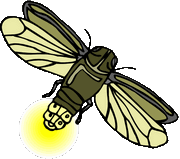 firefly