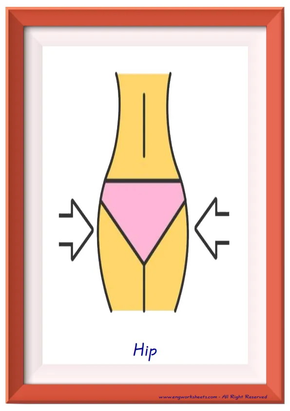 Full page ESL Flashcard together with words containing Body Parts picture for kids and teachers. Worksheet Preview
