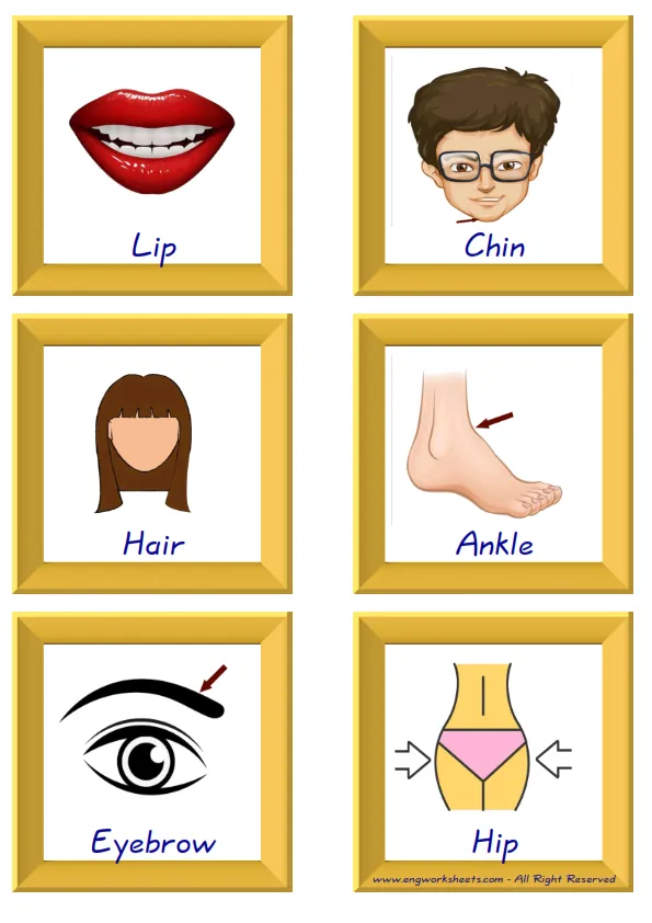 ESL Flashcard together with words containing Body Parts picture for kids and teachers. Worksheet Preview