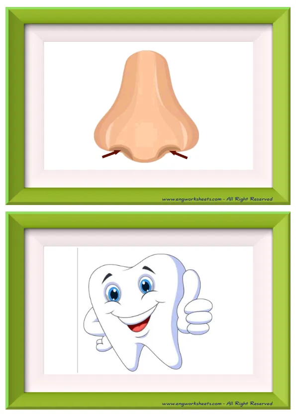 Half page ESL Flashcard without words containing Body Parts picture for kids and teachers. Worksheet Preview