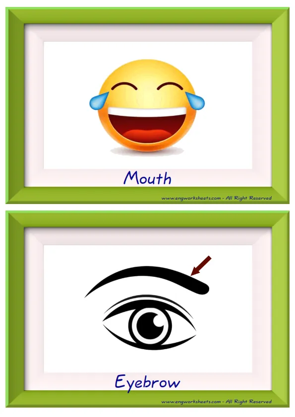 Half page ESL Flashcard together with words containing Body Parts picture for kids and teachers. Worksheet Preview