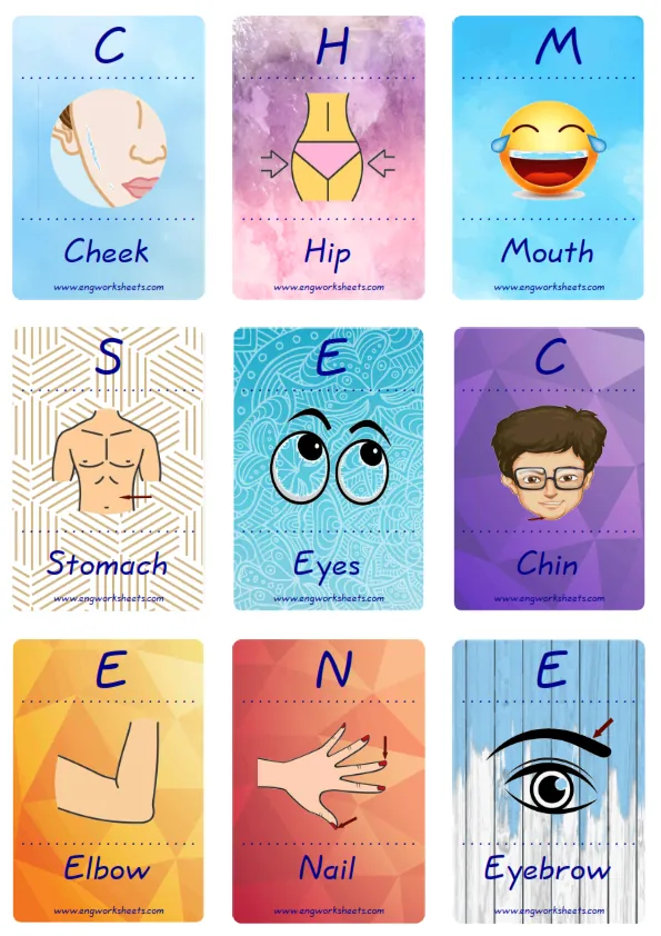 Mini size enjoyable ESL Flashcard Body Parts for kids and teachers. Worksheet Preview