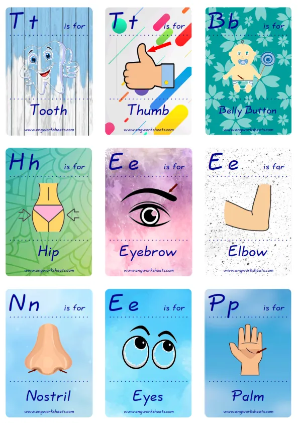 Mini size ESL Flashcard Body Parts for kids and teachers. Worksheet Preview