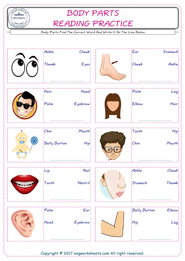 Check the picture of the Body Parts for kids ESL worksheet for supplying the correct one among three words into the blank place. Worksheet Preview