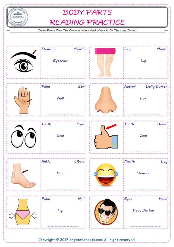 Check the picture of the Body Parts for kids ESL worksheet for supplying the correct one among four words into the blank place. Worksheet Preview