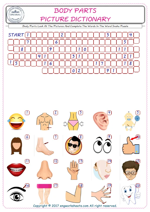 Check the Illustrations of Body Parts english worksheets for kids, and Supply the Missing Words in the Word Snake Puzzle ESL play. Worksheet Preview