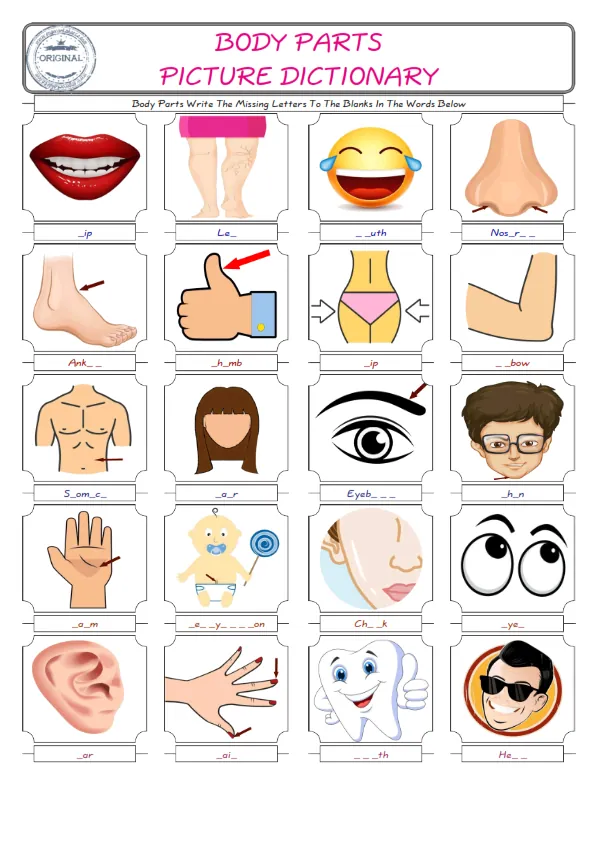 Body Parts Words English worksheets For kids, the ESL Worksheet for finding and typing the missing letters of Body Parts Words Worksheet Preview