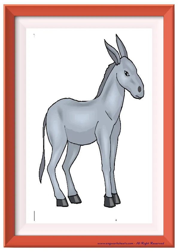 Full page ESL Flashcard without words containing Farm Animals picture for kids and teachers. Worksheet Preview