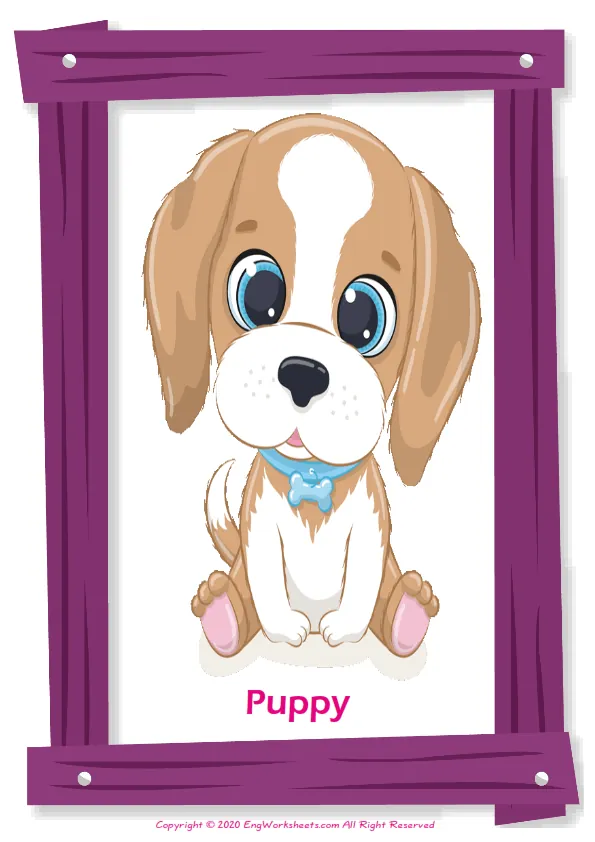 Baby Animals ESL Printable Unscramble the Words Worksheet. Worksheet Preview