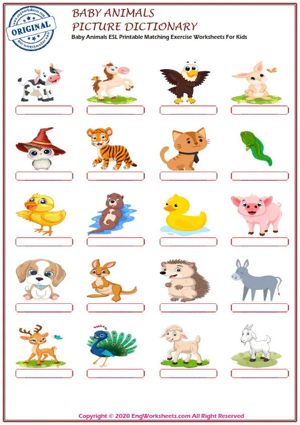 Baby Animals ESL Printable Picture Dictionary For Kids. Draw And Match The Words And Pictures. Worksheet Preview
