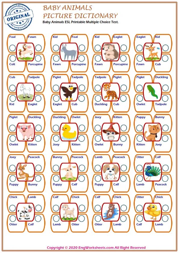 Baby Animals English word search puzzle worksheet, find the given words in the puzzle. Worksheet Preview