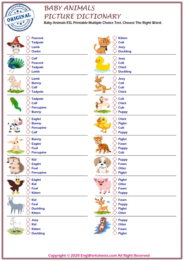 Wordless Baby Animals vocabulary worksheet with four images per page Worksheet Preview