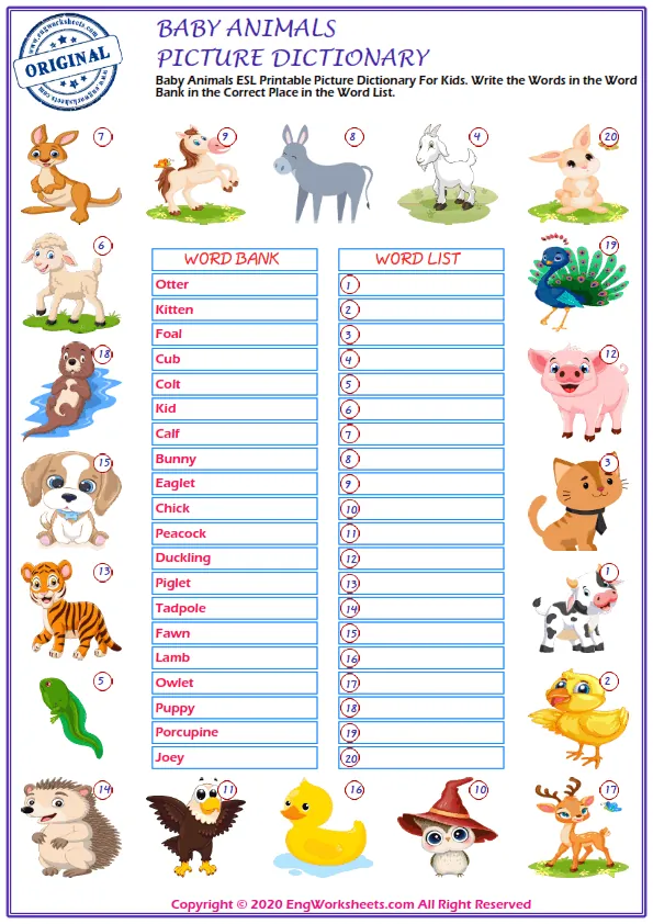 Baby Animals ESL Printable Multiple Choice Test. Choose The Right Word. Worksheet Preview