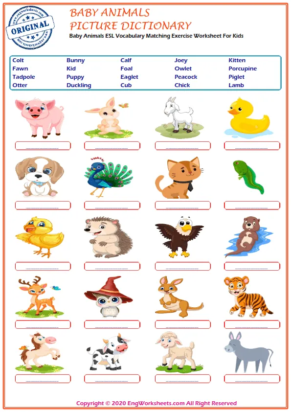 Baby Animals ESL Printable Picture Dictionary For Kids. Write the Numbers in the Word List Next to the Pictures. Worksheet Preview