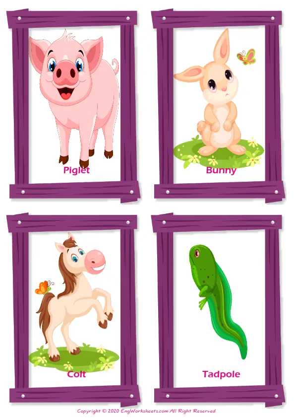 Baby Animals ESL Writing Practice Worksheet for Missing Words. Worksheet Preview