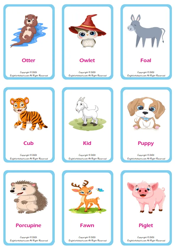 Baby Animals ESL Printable Picture Dictionary Worksheet For Kids Worksheet Preview