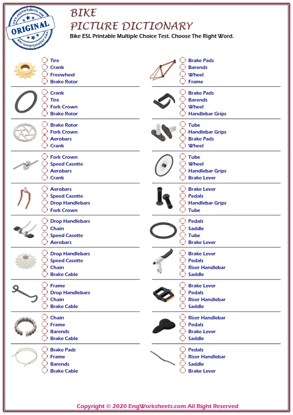 Bike ESL Printable Multiple Choice Test. Choose The Right Word. Worksheet Preview