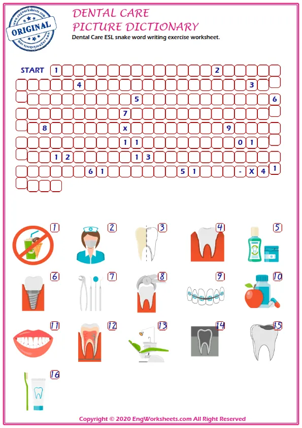 Dental Care vocabulary worksheet with words, four images per page Worksheet Preview