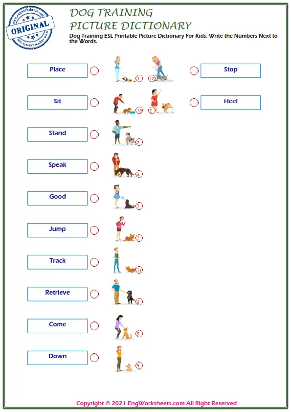 Dog Training ESL Printable Picture Dictionary For Kids. Write the Numbers Next to the Words. Worksheet Preview