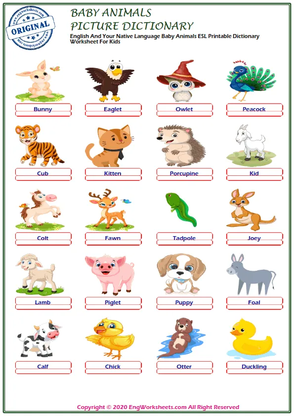 Baby Animals ESL Printable Picture Dictionary For Kids. Write the Numbers Next to the Words. Worksheet Preview