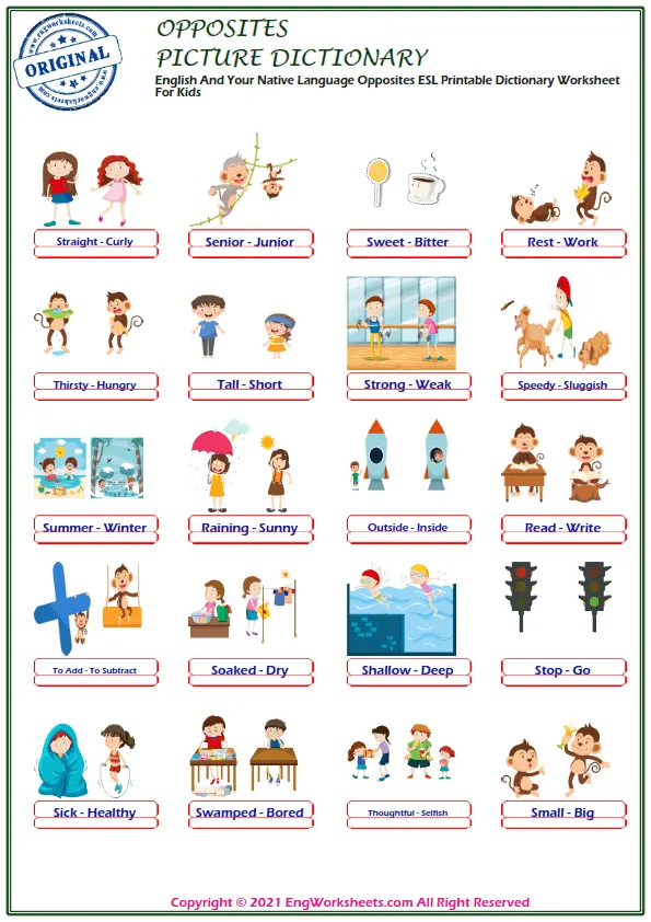 English And Your Native Language Opposites ESL Printable Dictionary Worksheet For Kids Worksheet Preview