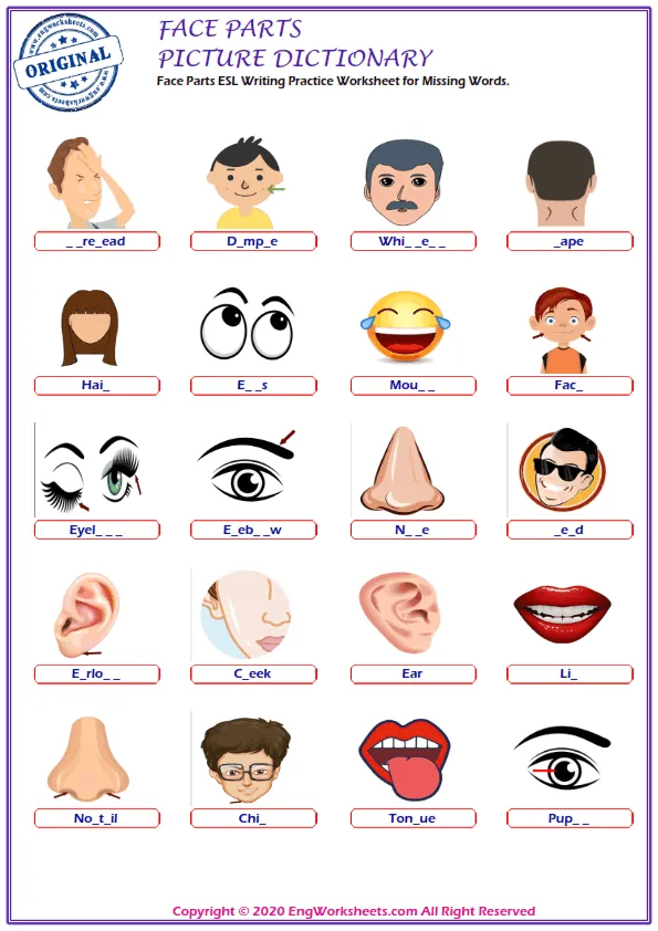 Face Parts ESL Writing Practice Worksheet for Missing Words. Worksheet Preview