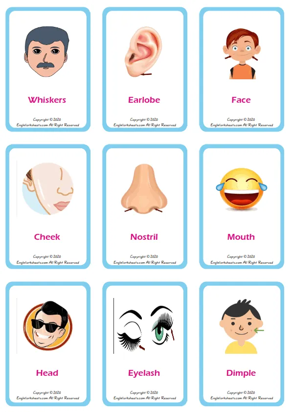 Face Parts vocabulary worksheet with words, nine images per page
