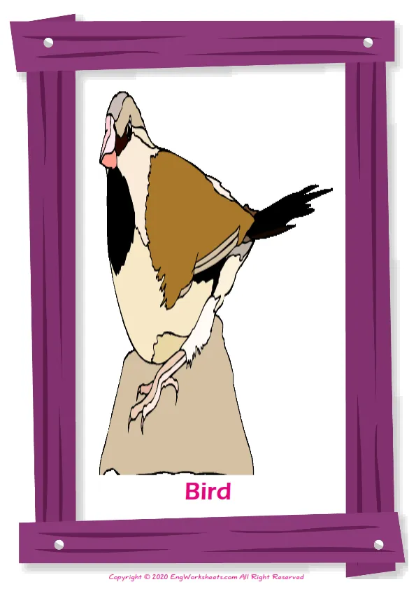 Farm Animals English vocabulary worksheet with full-page words