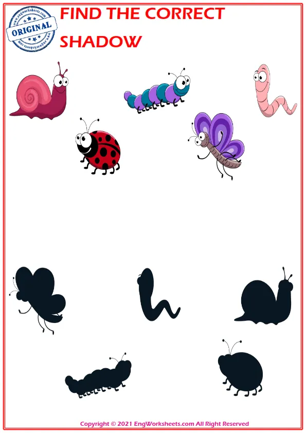 Find the correct shadow educational matching game worksheets for children Worksheet Preview