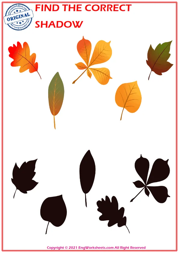 Find the correct shadow educational matching game worksheets for children Worksheet Preview
