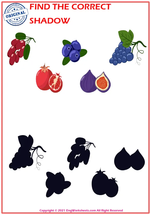 Find the correct shadow educational matching game worksheets for children Worksheet Preview