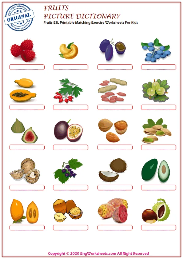 Fruits ESL Printable Matching Exercise Worksheets For Kids