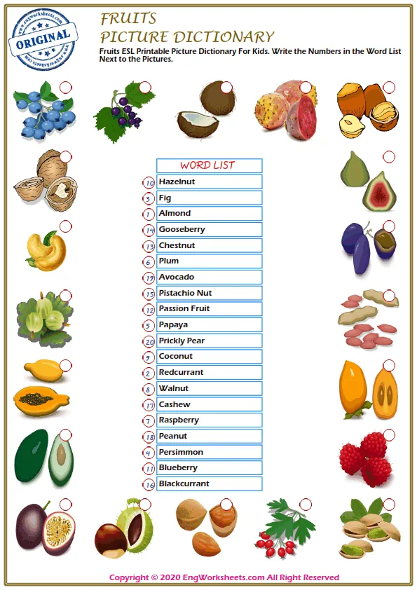 Fruits ESL Printable Picture Dictionary For Kids. Write the Numbers in the Word List Next to the Pictures. Worksheet Preview